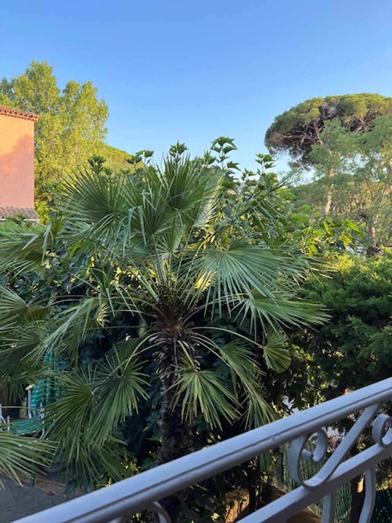 Superbe Appartement Terrasse Et Parking Prive סן טרופז מראה חיצוני תמונה
